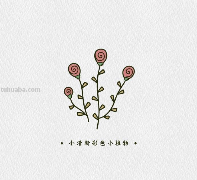简单可爱的小清新植物简笔画素材，​​​​零基础也能学会哦