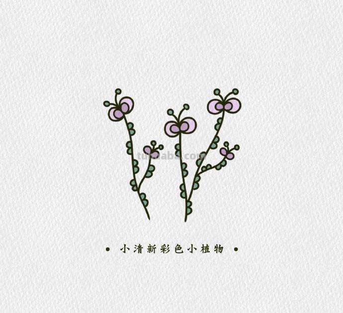 简单可爱的小清新植物简笔画素材，​​​​零基础也能学会哦