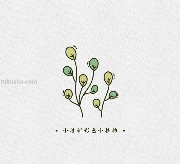 简单可爱的小清新植物简笔画素材，​​​​零基础也能学会哦
