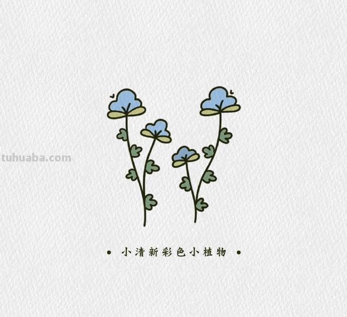 简单可爱的小清新植物简笔画素材，​​​​零基础也能学会哦