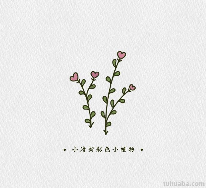 简单可爱的小清新植物简笔画素材，​​​​零基础也能学会哦