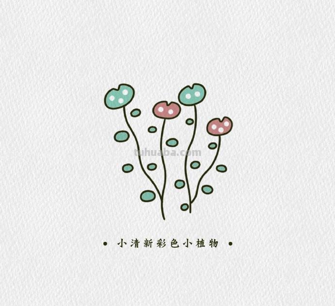 简单可爱的小清新植物简笔画素材，​​​​零基础也能学会哦