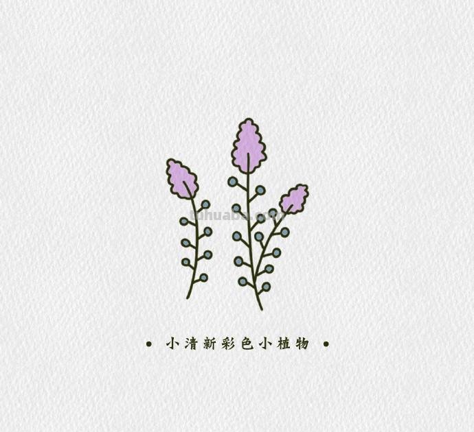 简单可爱的小清新植物简笔画素材，​​​​零基础也能学会哦