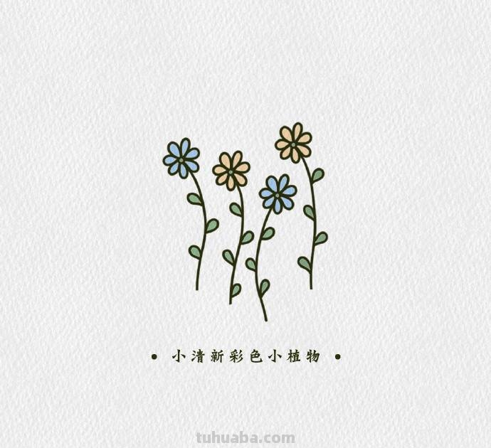 简单可爱的小清新植物简笔画素材，​​​​零基础也能学会哦