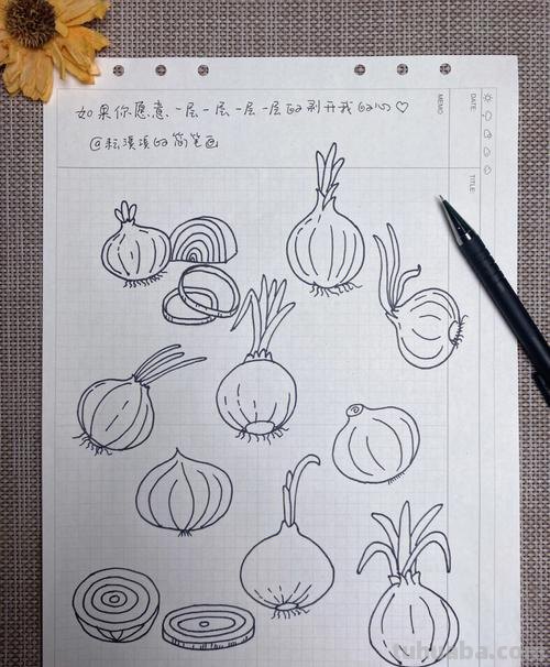 洋葱怎么画简笔画图片 如何画好洋葱？