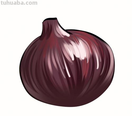 洋葱怎么画简笔画图片 如何画好洋葱？