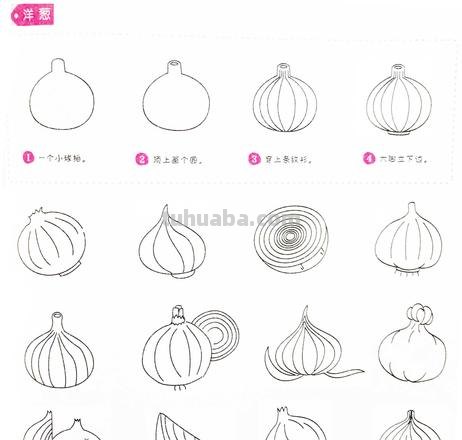 洋葱怎么画简笔画图片 如何画好洋葱？