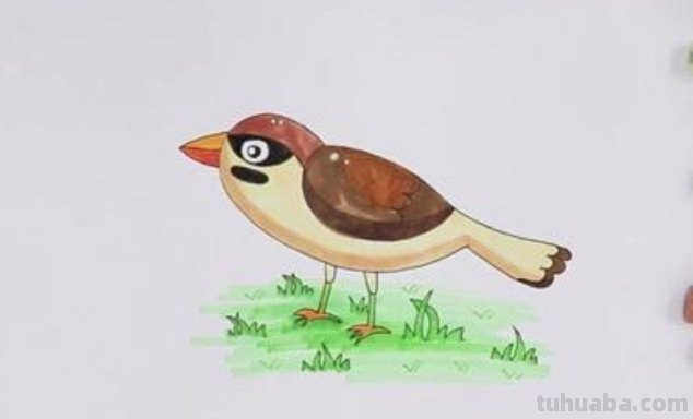 用彩铅画小麻雀怎么画 如何画麻雀？