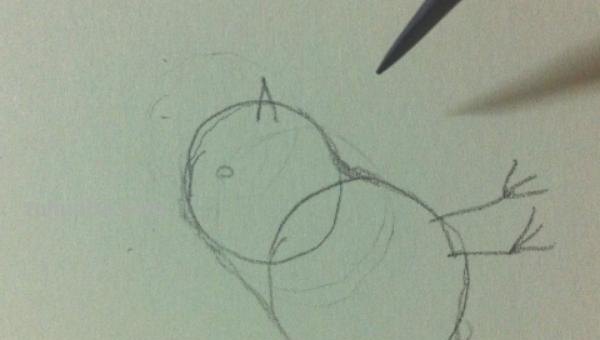 用彩铅画小麻雀怎么画 如何画麻雀？