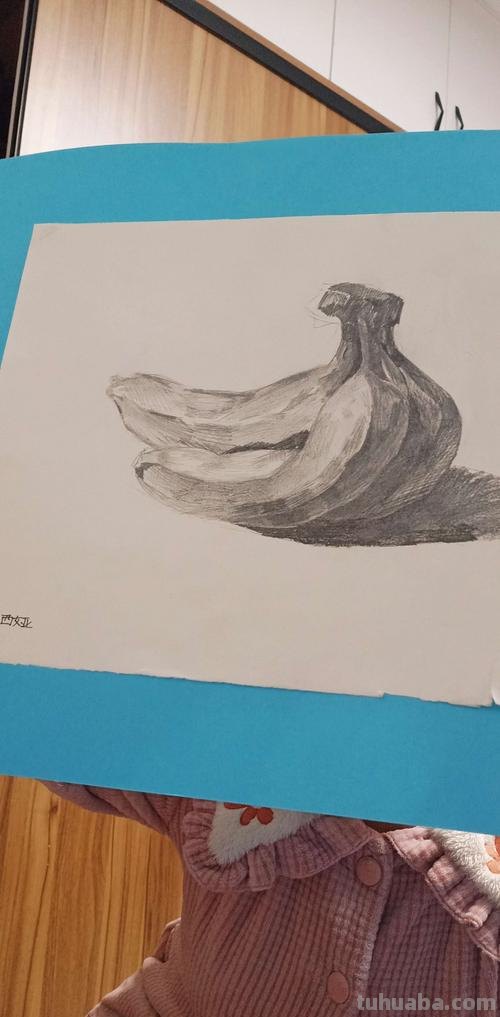 速写画技巧香蕉 学习素描香蕉的画法?