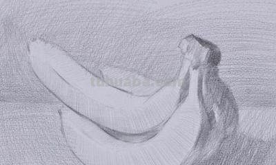 速写画技巧香蕉 学习素描香蕉的画法？