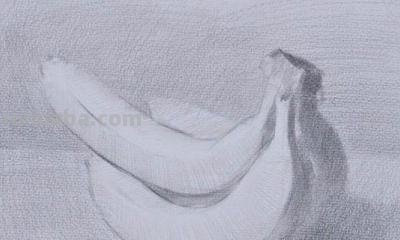 速写画技巧香蕉 学习素描香蕉的画法？