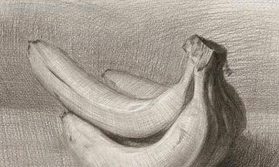 速写画技巧香蕉 学习素描香蕉的画法？