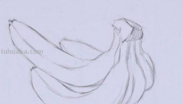 速写画技巧香蕉 学习素描香蕉的画法？