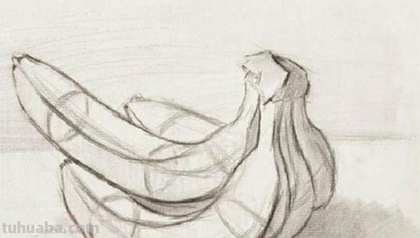 速写画技巧香蕉 学习素描香蕉的画法？