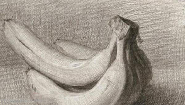 速写画技巧香蕉 学习素描香蕉的画法？
