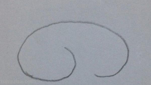 猪怎么画简笔画图片 10秒画一只猪？