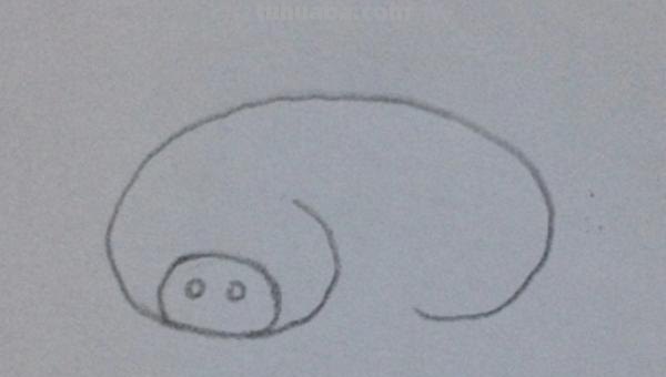 猪怎么画简笔画图片 10秒画一只猪？