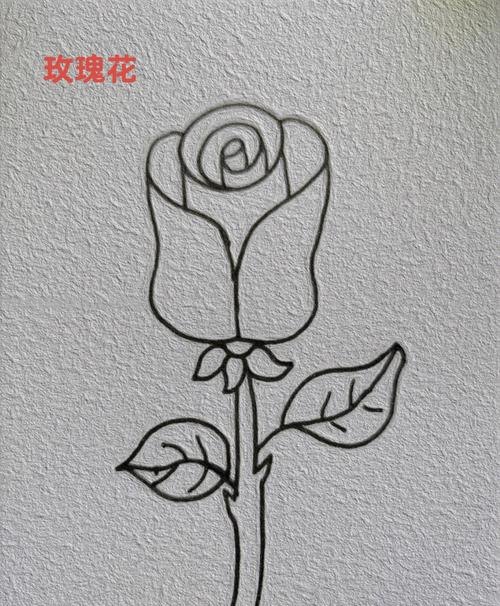简笔画玫瑰花怎么画 如何画简单的玫瑰花？