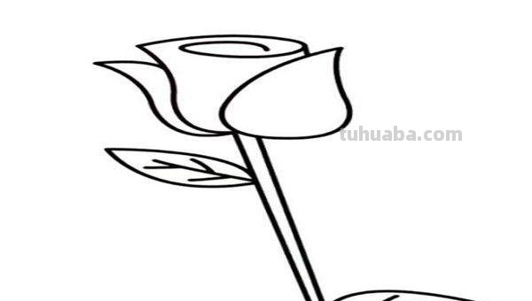 简笔画玫瑰花怎么画 如何画简单的玫瑰花？