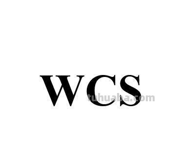 WCS wcs是什么意思啊