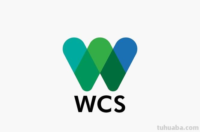 WCS wcs是什么意思啊