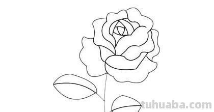 月季花怎么画简笔画 简笔画月季花的画法？