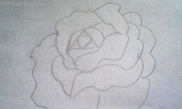 月季花怎么画简笔画 简笔画月季花的画法？