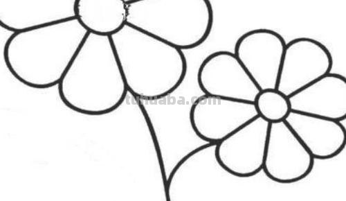 月季花怎么画简笔画 简笔画月季花的画法？