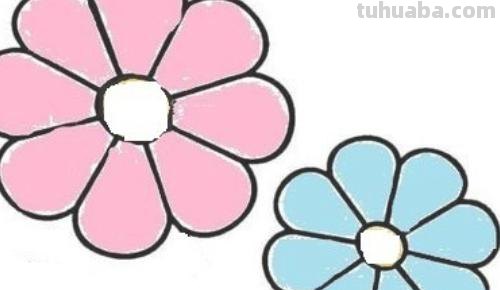 月季花怎么画简笔画 简笔画月季花的画法？