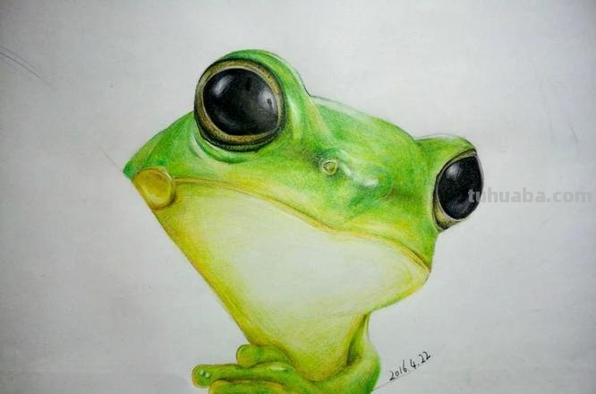 彩铅画可爱小青蛙怎么画 青蛙一步一步画？