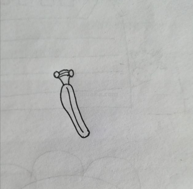 昆虫速写画技巧 铅笔素描画昆虫简单？