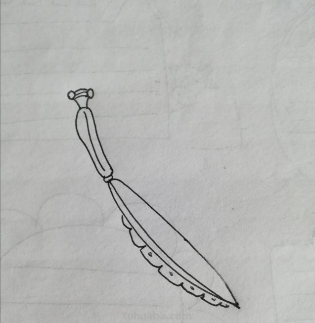 昆虫速写画技巧 铅笔素描画昆虫简单？