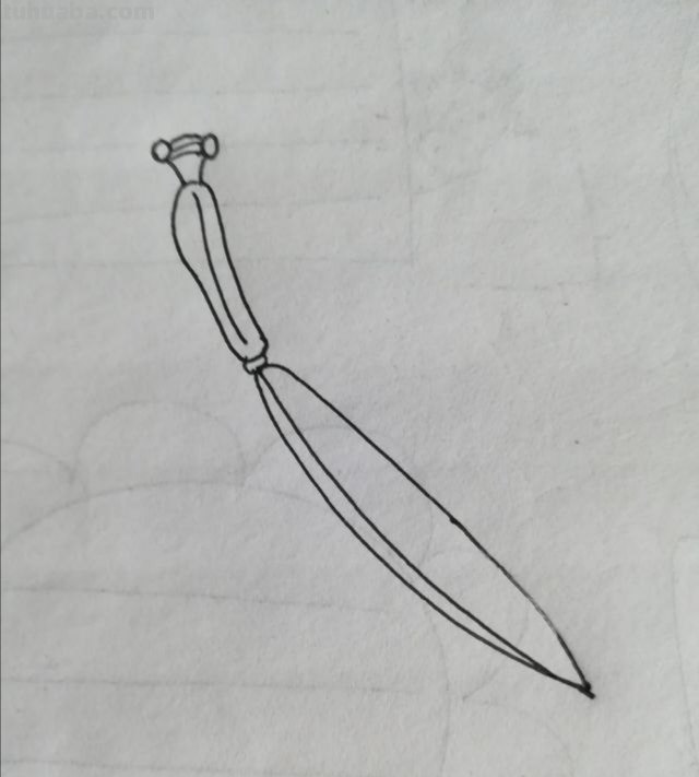 昆虫速写画技巧 铅笔素描画昆虫简单？