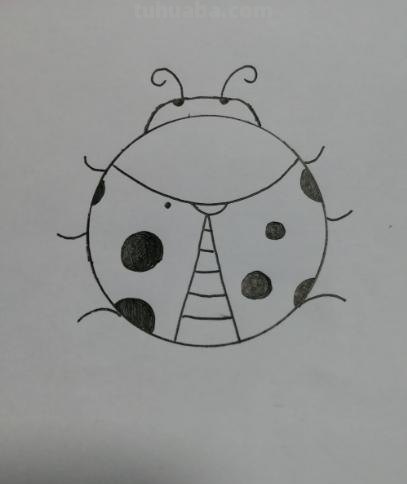 昆虫速写画技巧 铅笔素描画昆虫简单？