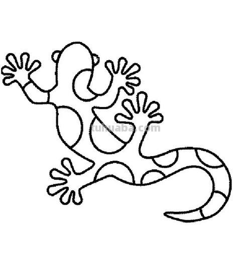 壁虎怎么画简笔画图片 如何画小壁虎的简笔画?