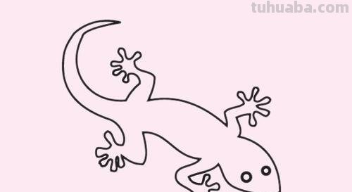 壁虎怎么画简笔画图片 如何画小壁虎的简笔画?