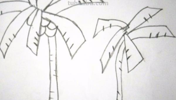 椰子树怎么画简笔画 儿童简单水彩画海边? 椰子树怎么画简笔画 儿童简单水彩画海边?