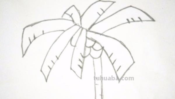 椰子树怎么画简笔画 儿童简单水彩画海边? 椰子树怎么画简笔画 儿童简单水彩画海边?