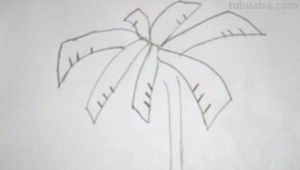 椰子树怎么画简笔画 儿童简单水彩画海边? 椰子树怎么画简笔画 儿童简单水彩画海边?