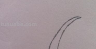 椰子树怎么画简笔画 儿童简单水彩画海边? 椰子树怎么画简笔画 儿童简单水彩画海边?