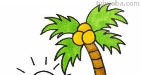 椰子树怎么画简笔画 儿童简单水彩画海边? 椰子树怎么画简笔画 儿童简单水彩画海边?