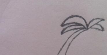 椰子树怎么画简笔画 儿童简单水彩画海边? 椰子树怎么画简笔画 儿童简单水彩画海边?