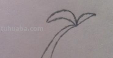 椰子树怎么画简笔画 儿童简单水彩画海边? 椰子树怎么画简笔画 儿童简单水彩画海边?