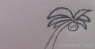 椰子树怎么画简笔画 儿童简单水彩画海边? 椰子树怎么画简笔画 儿童简单水彩画海边?