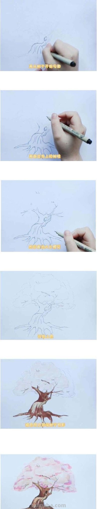 怎么画樱花树简笔画 怎样画樱花？