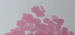 怎么画樱花树简笔画 怎样画樱花？