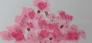 怎么画樱花树简笔画 怎样画樱花？