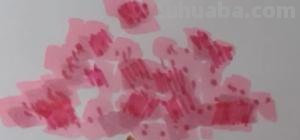 怎么画樱花树简笔画 怎样画樱花？