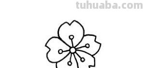 怎么画樱花树简笔画 怎样画樱花？